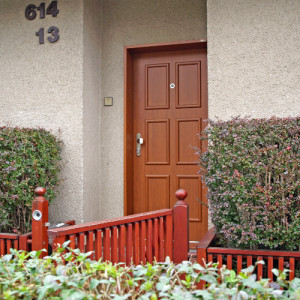 ADLO - Thermo-Sicherheitst�r TEDUO, Leistenausf�hrung LB 350, Oberfl�che Geta 656, beklebte T�rzarge