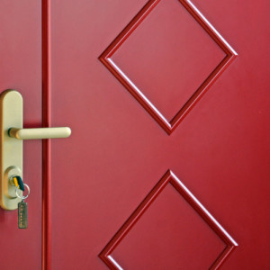 ADLO - Sicherheitst�r TEDUO, Leistenausf�hrung LB551, Leiste oval, T�roberfl�che spritzlackiert Color