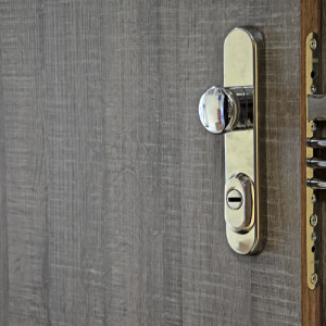 ADLO - Sicherheitst�r TEDUO, T�rendesign glatt, T�roberfl�che H1151, Sicherheitsbeschlag abgerundet