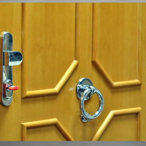 ADLO - Sicherheitst�r TESIM, beleistet LB 420, Eingangst�r mit T�rklopfer