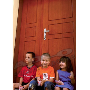 ADLO - Sicherheitst�r TEDUO, zweifl�gelige, profil Furnier F250