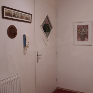 ADLO - Eingangssicherheitst�r TEDUO, verglast P450, Sicherheitsglas