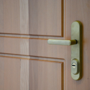 ADLO - Sicherheitst�r TEDUO, profiliert F 200, Oberfl�che Massiv-natur beidseitig