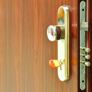 ADLO - Sicherheitst�r LISTEO, T�roberfl�che kunststoffbeschichtetes Blech DL 05