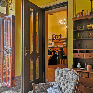 ADLO - Thermo-Au�enraumt�r Teduo, verglast PS421, Panzerglas Stopsol - bronze, T�rh�he 235 cm