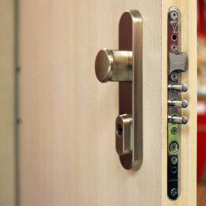 ADLO - Sicherheitst�r Teduo, T�roberfl�che Ahorn, Sicherheitsbeschlag Fest Chrome Celomat