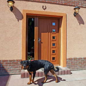 ADLO - Thermo-Au�enraumt�r Teduo, verglast PS552, seitliches Fixteil, T�rzarge Holzdekor