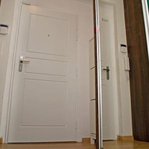 ADLO - Sicherheitst�r ADUO, profiliertes Design F250, Oberfl�che der T�r und der T�rzarge Color RAL 9003