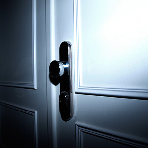 ADLO - Sicherheitst�r TEDUO, Leistenausf�hrung, zweifl�gelige, Brandschutz