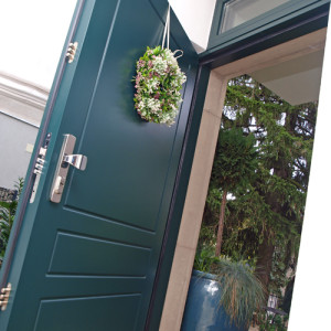 ADLO - Thermo-Au�enraumt�r ARDEN, Breite 105cm, Profildesign F240, Oberfl�che RAL 6012 und Oberlichte