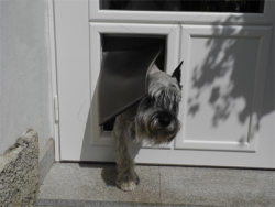 Durchgang f�r Hunde und Katzen